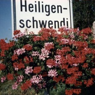 Bildschirmfoto 2025-05-05 um 19.07.49